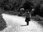 Modello Fujifilm Finepix S200EXR 
Valore di velocit otturatore 1/200 s 
Valore di apertura f/6.4 
Sensibilit ISO 200 
Lunghezza focale 26mm 
mano libera 

Campagna di Lao Cai - Vietnam del Nord
Suggerimenti e critiche sempre ben accetti
