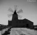 Mulino