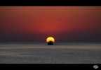 alba