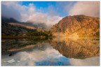 Golden Reflections