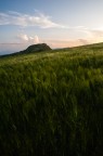campi in primavera