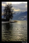 Winter lake