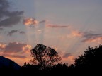 Alba..