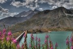 Parco del Gran Paradiso, sulla strada per il colle del Nivolet, che separa il Piemonte dalla Valle d'Aosta.