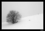 Lonely