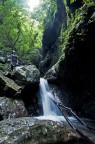 Valle delle Ferriere