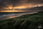 Scatto frutto della mia ultima vacanza nel bellissimo e verdissimo Galles. La foto  stata eseguita ner pressi di Harlech

D800 Nikkor 24-70 F14 ISO 100 Treppiede Pola warm