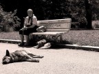 Solitudine