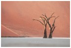 altra serie di foto scattate in namibia.... qlc duna e la spettacolare dead vlei