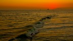 The last wave...