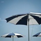 Summer details Summer details