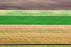 tappeto di campagne