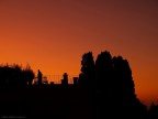 Rosso di sicilia