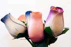 Fiori Finti
