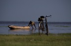 Lake Manyara, Tanzania

Pentax Kx + Tamron AF 18-200
f/6,3
1/2000
ISO 200