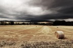 Prima di tutto, ciao a tutti, mi chiamo Francesco e sono nuovo su questo forum. Sono sicuro sar un'occasione per crescere, condividere e conoscere persone animate dalla mia stessa passione per la fotografia. 
In questo caso vi propongo una delle foto fatte poco prima delle ferie in Val d'Orcia in Toscana. Critiche, commenti e suggerimenti sono ben accetti :)... 
Ciao 

F