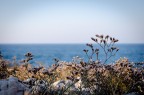 Scattata nei pressi di Peschici (FG)

55mm - f/10 - 1/125
