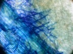 oceano blu