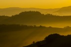 Crete senesi - alba dorata