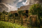 countryside