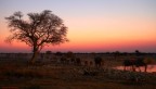 Etosha Pan - Namibia 2012 - 
Treppiede - Canon EOS 7D - Tamron 17/50 VC f:2,8