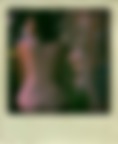 Pola_42