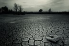 Mother Earth