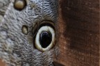 vel. otturatore 1/125
ISO 400