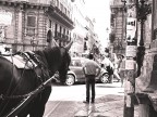 Palermo