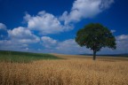 Ricordo di una splendida vacanza nella Schwarwald