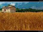 Provenza # 6