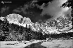 B&amp;W valvenegia