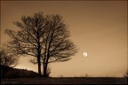 Low moon