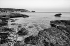 Calamosca
