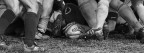 CusVr-Villorba (serie B 2004/05)