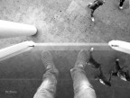 271-365 shot project 271-365 shot project