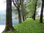Inizio d'autunno
