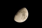 Nikkor AF-S 55-300 @300mm
Nikon D5100