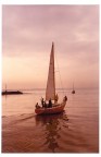 Vela al tramonto