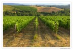 Toscana