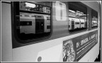 Scansione da negativo Maco UP 400+
Ottica Yashica ML 50 MM f/1.7