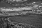 Strade di collina