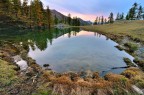 Riflessi lenti