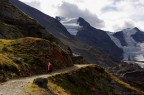 Il Ghiacciaio dei Forni  localizzato nel Gruppo Ortles-Cevedale in alta Valtellina all'interno del settore lombardo del Parco Nazionale dello Stelvio.
