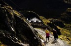 Il Ghiacciaio dei Forni  localizzato nel Gruppo Ortles-Cevedale in alta Valtellina all'interno del settore lombardo del Parco Nazionale dello Stelvio.