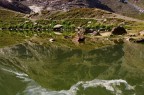 Il Ghiacciaio dei Forni  localizzato nel Gruppo Ortles-Cevedale in alta Valtellina all'interno del settore lombardo del Parco Nazionale dello Stelvio.