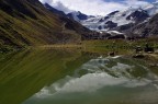 Il Ghiacciaio dei Forni  localizzato nel Gruppo Ortles-Cevedale in alta Valtellina all'interno del settore lombardo del Parco Nazionale dello Stelvio.