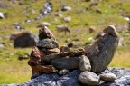 Il Ghiacciaio dei Forni  localizzato nel Gruppo Ortles-Cevedale in alta Valtellina all'interno del settore lombardo del Parco Nazionale dello Stelvio.