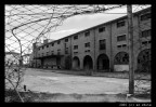 Scorcio rubato del cortile dell'ex-consorzio agrario di Portogruaro, in disuso ormai da decenni - un'area solitaria al centro della citt.