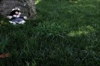 Gretel e il suo mondo (+BN per Claudio R.)